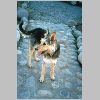 081 Talca.html